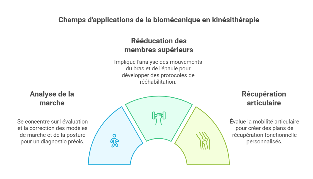Champs d'applications de la biomécanique en kinésithérapie