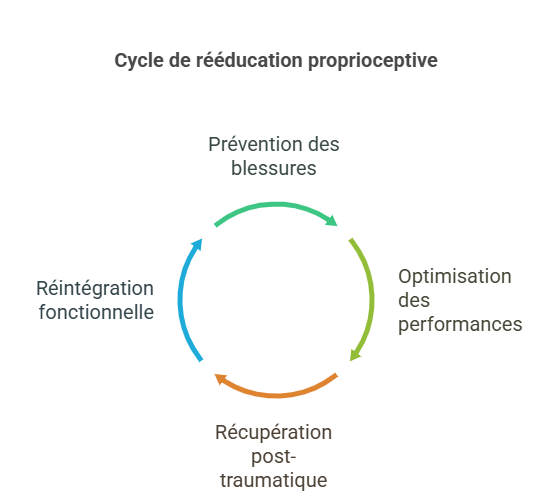 Cycle de rééducation proprioceptive