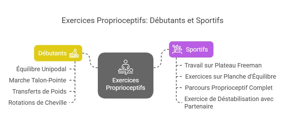 Exercices proprioceptifs pour débutants et sportifs