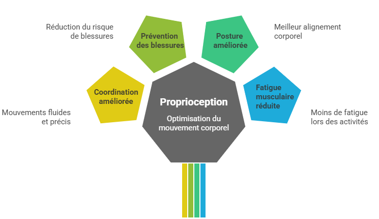 Proprioception et optimisation du mouvement corporel