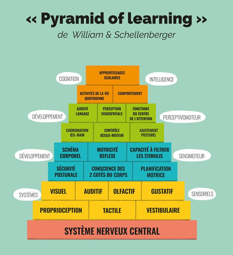 Pyramide d'apprentissage de William & Schellenberger
