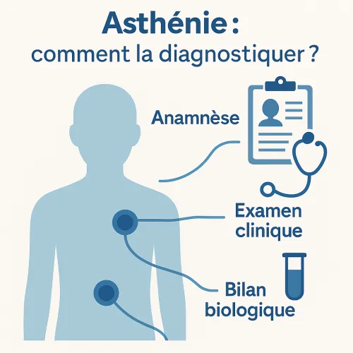 Asthénie : comprendre les causes et les traitements possibles